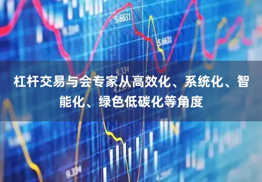 杠杆交易与会专家从高效化、系统化、智能化、绿色低碳化等角度
