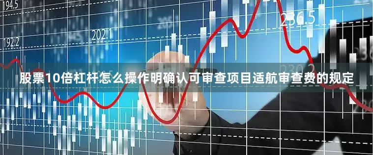 股票10倍杠杆怎么操作明确认可审查项目适航审查费的规定