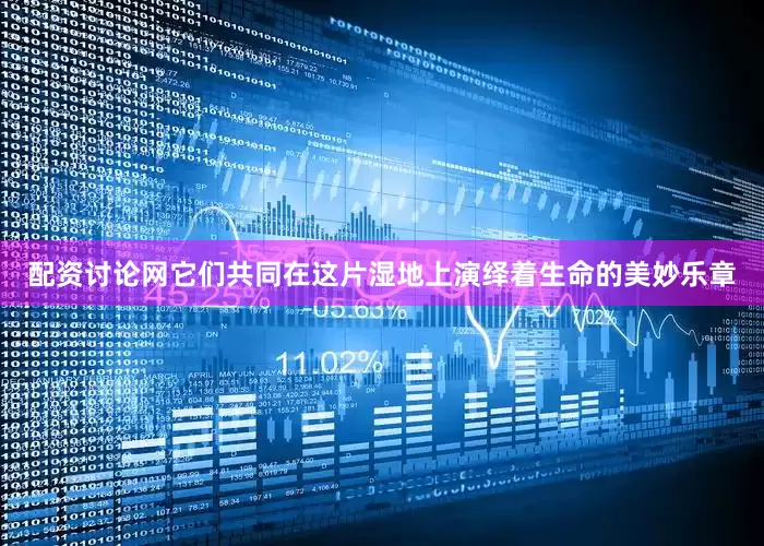 配资讨论网它们共同在这片湿地上演绎着生命的美妙乐章