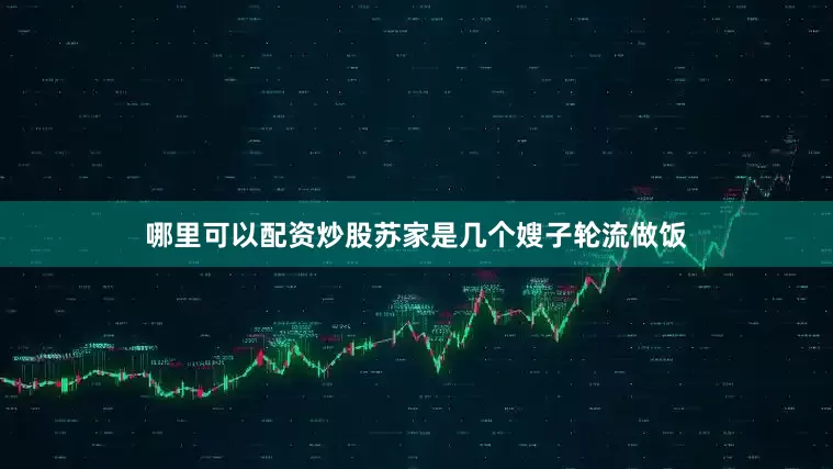 哪里可以配资炒股苏家是几个嫂子轮流做饭