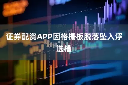 证券配资APP因格栅板脱落坠入浮选槽